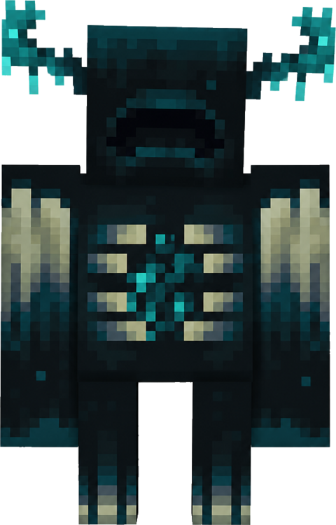 The Warden